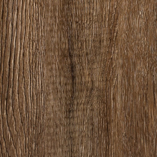 MFLOR6-952 Arvada Oak